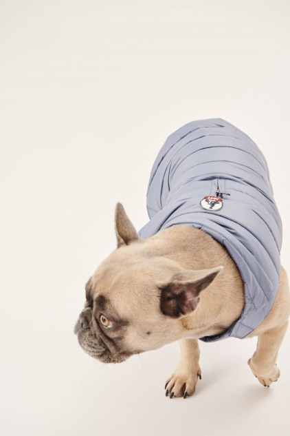 מעיל פוך כחול Delave Dogs Woop Jott