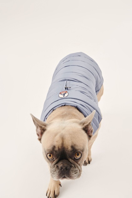 מעיל פוך כחול Delave Dogs Woop Jott