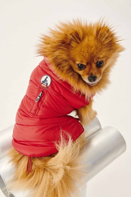 מעיל פוך Jott Rouge Dogs Woop