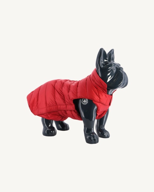 מעיל פוך Jott Rouge Dogs Woop