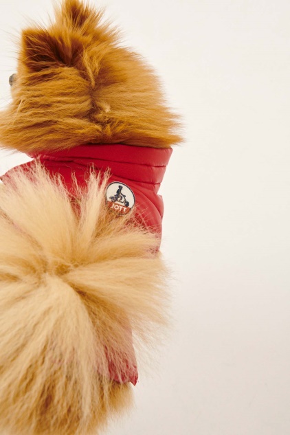 מעיל פוך Jott Rouge Dogs Woop